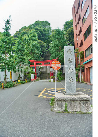 東京都港区愛宕神社男坂女坂 79570247