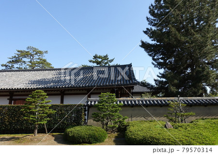 奈良 法隆寺 奈良 法隆寺 79570314
