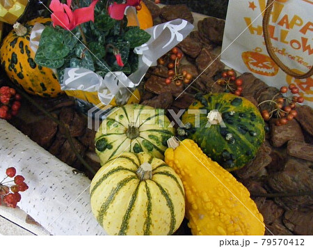 ハロウィンイメージ ハロウィンイメージ 79570412