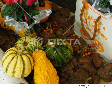 ハロウィンイメージ ハロウィンイメージ 79570422