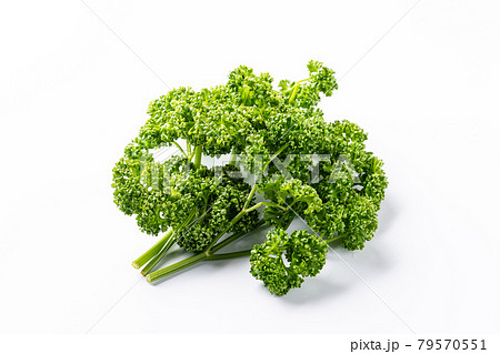 パセリ 79570551