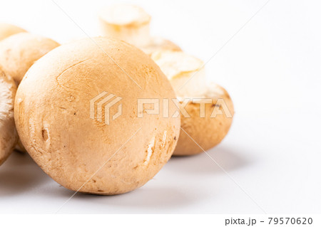 ブラウンマッシュルーム 79570620