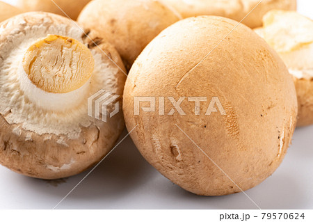 ブラウンマッシュルーム 79570624