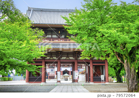 東京都　池上本門寺（いけがみほんもんじ）　仁王門 79572064