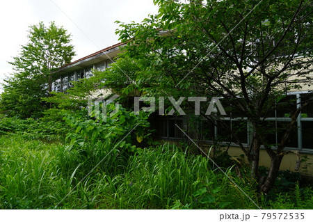 浜益村立浜益北部小学校（廃校） 79572535