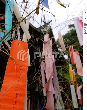 新型コロナウイルスの終息を願う七夕の短冊 (熊本県江田熊野座神社) 新型コロナウイルスの終息を願う七夕の短冊 (熊本県江田熊野座神社) 79573257