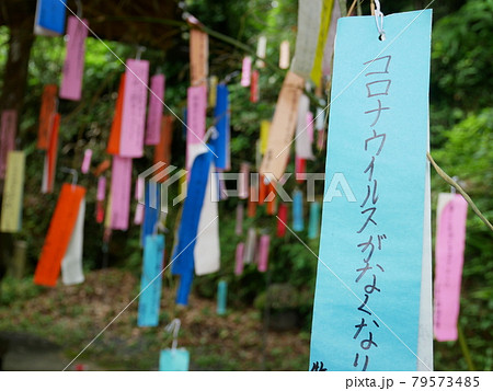 願い事が叶いますように 新型コロナウイルスの終息を願う七夕の短冊の写真素材 願い事が叶いますように 新型コロナウイルスの終息を願う七夕の短冊の写真素材