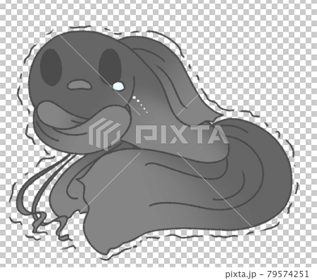 寒くて震えるベタ（黒色） 79574251