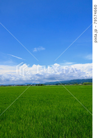 梅雨の晴れ間 茨城県日立市 梅雨の晴れ間 茨城県日立市 79574660