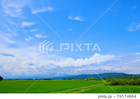 梅雨の晴れ間 茨城県日立市 梅雨の晴れ間 茨城県日立市 79574664