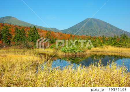 睡蓮沼と八甲田連峰の秋の風景 79575193
