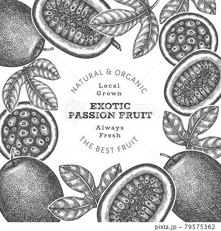 Hand drawn sketch style passion fruit banner. Organic fresh fruit vector illustration. Retro exotic fruit design template Hand drawn sketch style passion fruit banner. Organic fresh fruit vector illustration. Retro exotic fruit design template 79575362