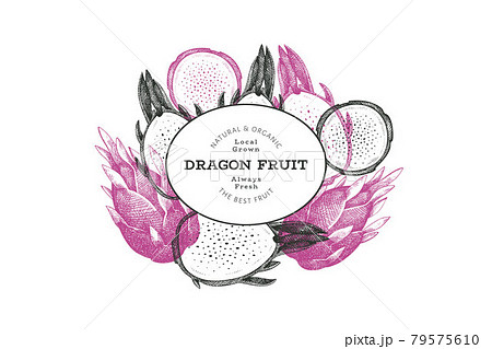 Hand drawn dragon fruit design template. Organic fresh food vector illustration. Retro pitaya fruit banner. Hand drawn dragon fruit design template. Organic fresh food vector illustration. Retro pitaya fruit banner. 79575610