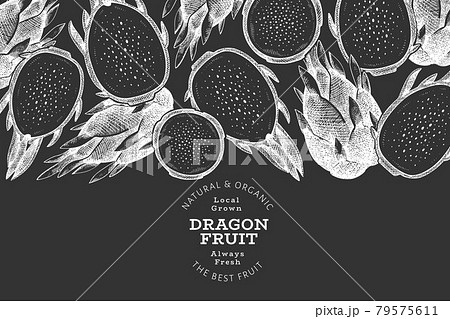 Hand drawn dragon fruit design template. Organic fresh food vector illustration on chalk board. Retro pitaya fruit banner. Hand drawn dragon fruit design template. Organic fresh food vector illustration on chalk board. Retro pitaya fruit banner. 79575611