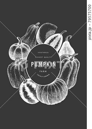 Pumpkin design template. Vector hand drawn illustrations on chalk board. Thanksgiving backdrop in retro style with pumpkin harvest. Autumn background. Pumpkin design template. Vector hand drawn illustrations on chalk board. Thanksgiving backdrop in retro style with pumpkin harvest. Autumn background. 79575700