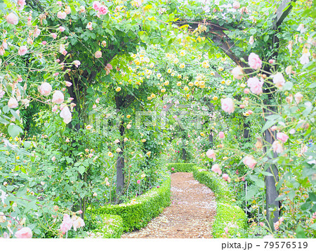 軽井沢レイクガーデン　バラのアーチ 79576519