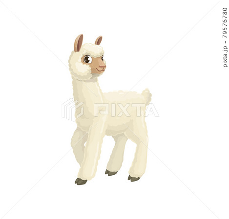 White Lama Alpaca Guanaco Llama Vicuna Animal Iconのイラスト素材