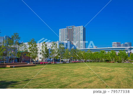 【東京の都市風景】有明ガーデン周辺 【東京の都市風景】有明ガーデン周辺 79577338