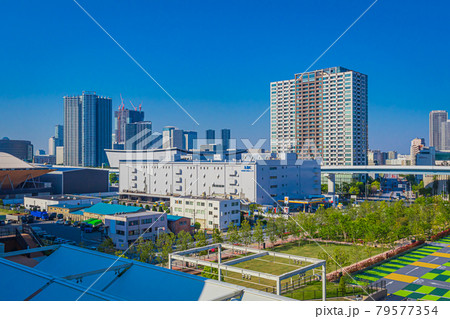 【東京の都市風景】有明ガーデンから東雲方向の眺望 79577354
