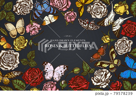 Floral design on dark background with menelaus blue morpho, giant swordtail, lemon butterfly, red Floral design on dark background with menelaus blue morpho, giant swordtail, lemon butterfly, red 79578239