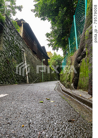 雨の坊ヶ坂、薄暗くひんやりする〈愛知県名古屋市〉 79579008