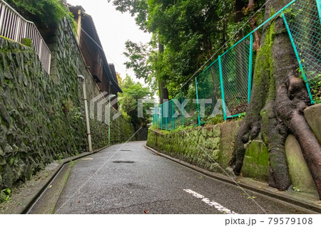 雨の坊ヶ坂、薄暗くひんやりする〈愛知県名古屋市〉 雨の坊ヶ坂、薄暗くひんやりする〈愛知県名古屋市〉 79579108