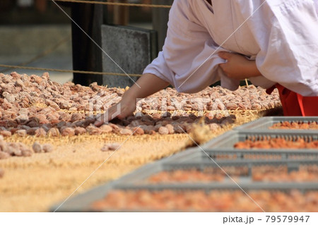 京都、北野天満宮で行われた土用干しの作業風景 京都、北野天満宮で行われた土用干しの作業風景 79579947