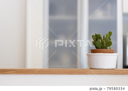 新築一戸建てのキッチンに置いてあるサボテンの鉢植え 79580334