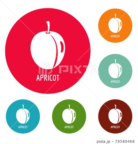 Apricot icons circle set vector 79580468