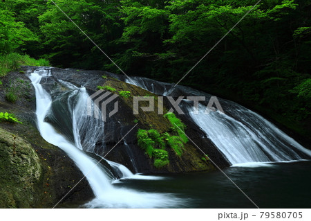 夏の釜淵の滝 夏の釜淵の滝 79580705