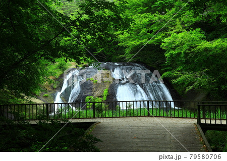 夏の釜淵の滝 79580706