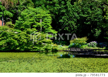 八女市星野 池の山キャンプ場 麻生池湖畔の風景 八女市星野 池の山キャンプ場 麻生池湖畔の風景 79581773