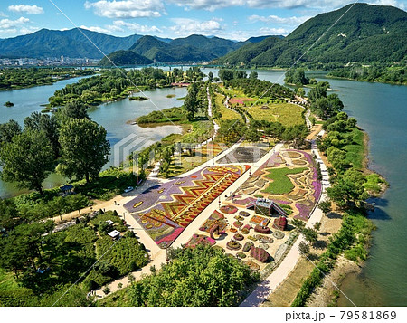 公園 風景 花畑 79581869
