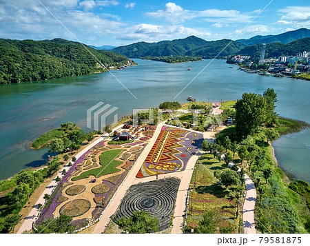 風景 花畑 ケシ 79581875