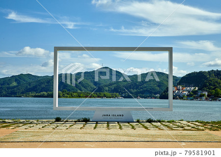 公園 花畑 ケシ 79581901