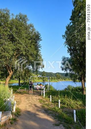 公園 花 ケシ 79581930