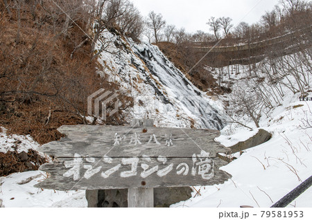 冬の知床　オシンコシンの滝 79581953