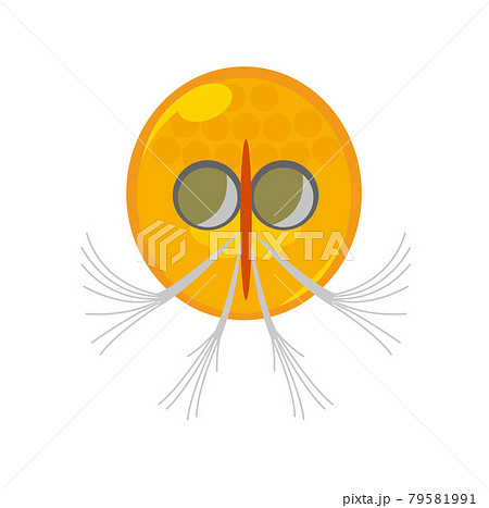 ギガントキプリス/深海 79581991