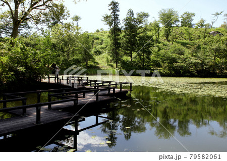八女市星野 池の山キャンプ場 麻生池湖畔の風景 八女市星野 池の山キャンプ場 麻生池湖畔の風景 79582061
