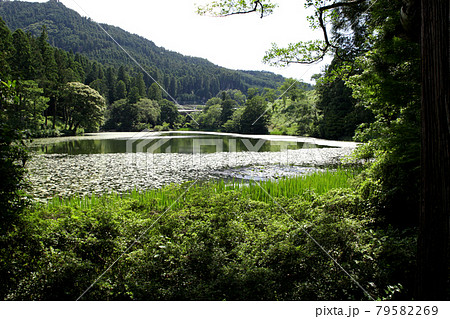 八女市星野　池の山キャンプ場　麻生池湖畔の風景 79582269