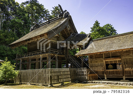神魂神社 本殿 島根県松江市 神魂神社 本殿 島根県松江市 79582316