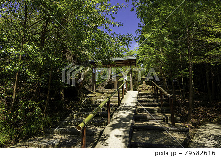 八重垣神社 境内 島根県松江市 八重垣神社 境内 島根県松江市 79582616