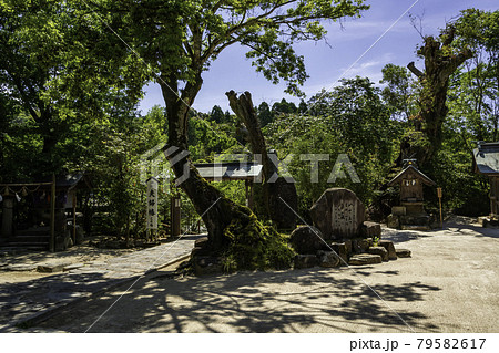 八重垣神社 境内 島根県松江市の写真素材