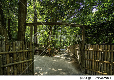 八重垣神社　佐久佐女の森入口　島根県松江市 79582904