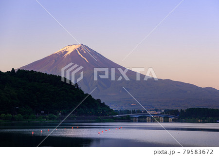 (山梨県)朝焼けの富士山と河口湖大橋 (山梨県)朝焼けの富士山と河口湖大橋 79583672