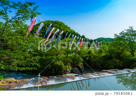 布橋十二ヶ滝（ぬのはしじゅうにがたき）／石川県小松市　西尾地区　5月 79585061