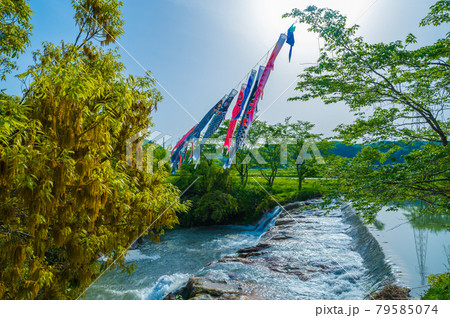 布橋十二ヶ滝(ぬのはしじゅうにがたき)/石川県小松市 西尾地区 5月 布橋十二ヶ滝(ぬのはしじゅうにがたき)/石川県小松市 西尾地区 5月 79585074