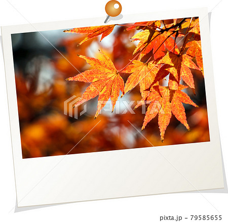 ポラロイド風写真　紅葉イメージ 79585655