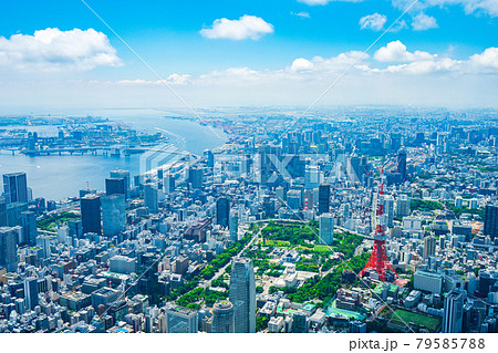 東京 79585788