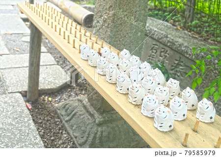 おみくじ 79585979